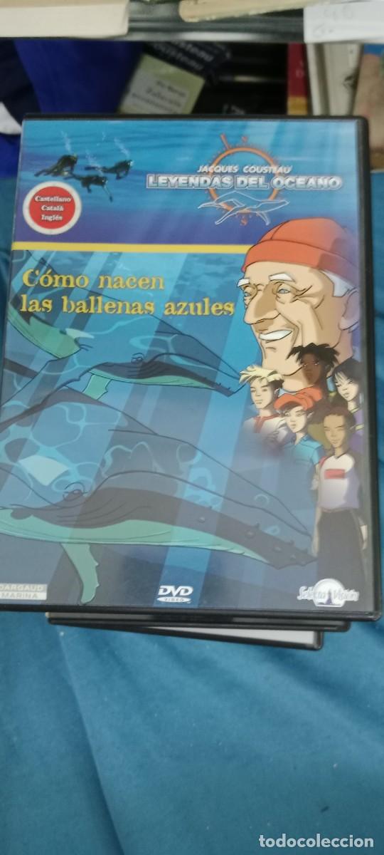 Cine: COMO NACEN LAS BALLENAS AZULES DVD CINE GG-TOF