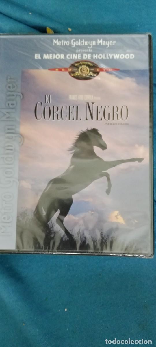 Cine: EL CORCEL NEGRO NUEVO PRECINTADO DVD CINE GG-TOF