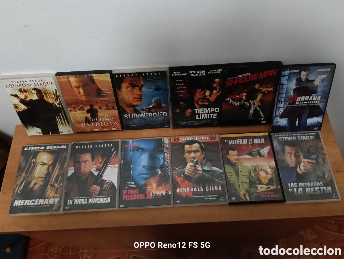 Cine: Lote de 17 dvd de Steven Seagal
