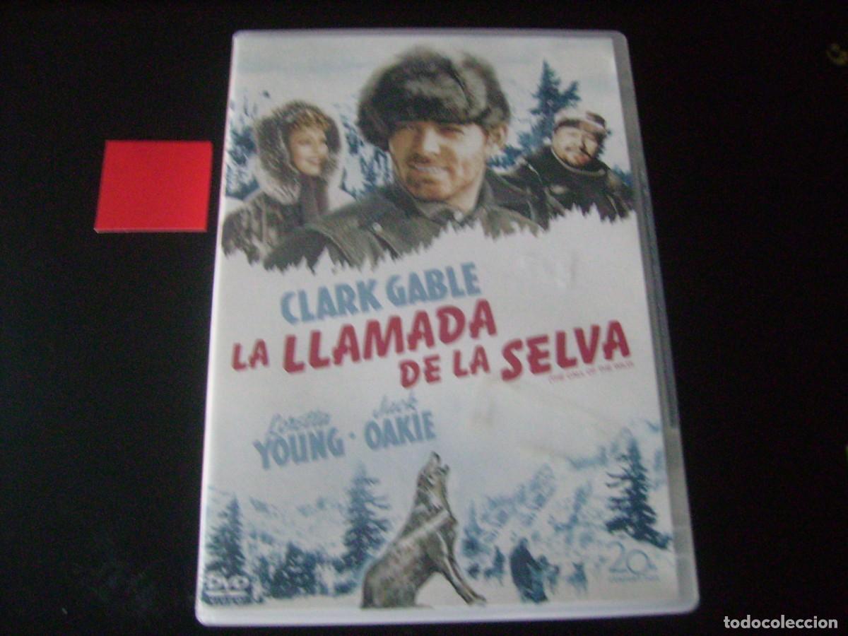 Cine: LA LLAMADA DE LA SELVA - CLARK GABLE