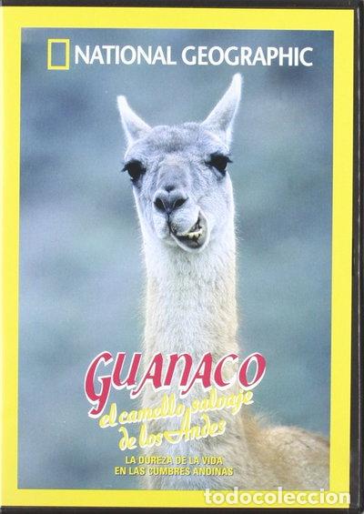 Cine: Guanaco: El camello salvaje de los Andes- 9788482982588
