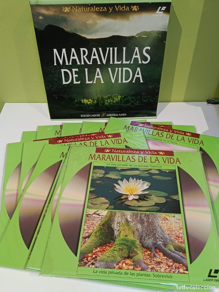 Cine: Laser disc Maravillas de la vida