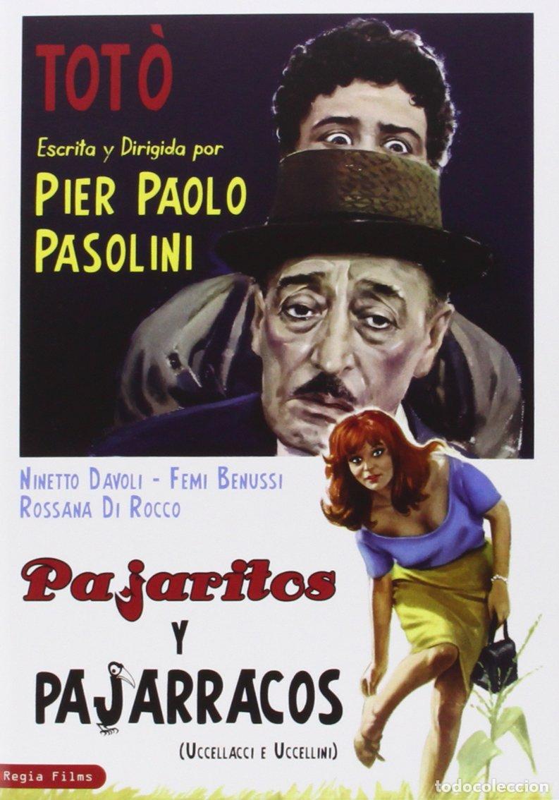 Cine: PAJARITOS Y PAJARRACOS - DVD - NUEVO