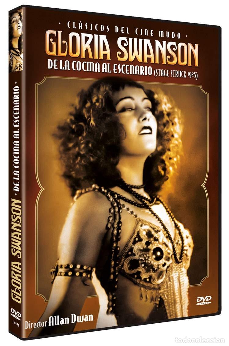 Cin&eacute;ma: Gloria Swanson: De La Cocina Al Escenario [DVD] (1925) Stage Struck