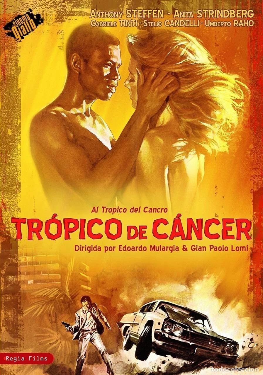 Cinema: Tr&oacute;pico de C&aacute;ncer [DVD] (1972) al tropico del cancro