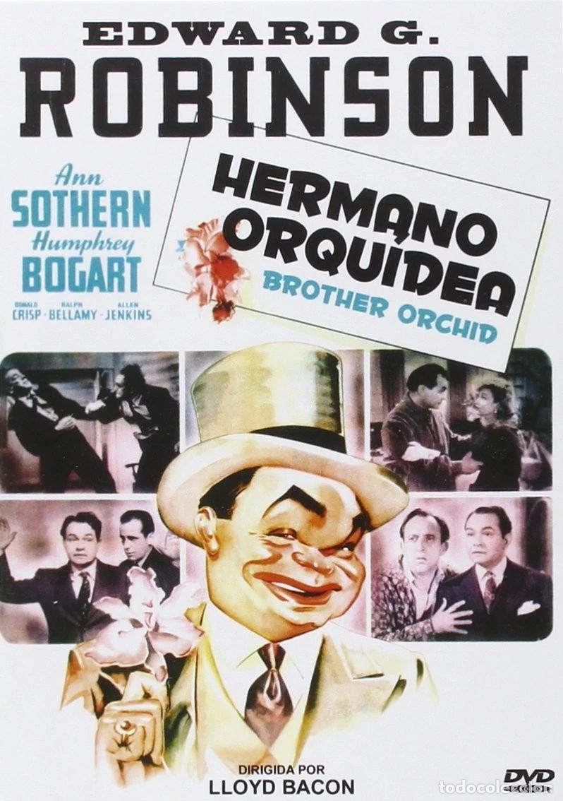 Cinema: HERMANO ORQUIDEA (DVD)