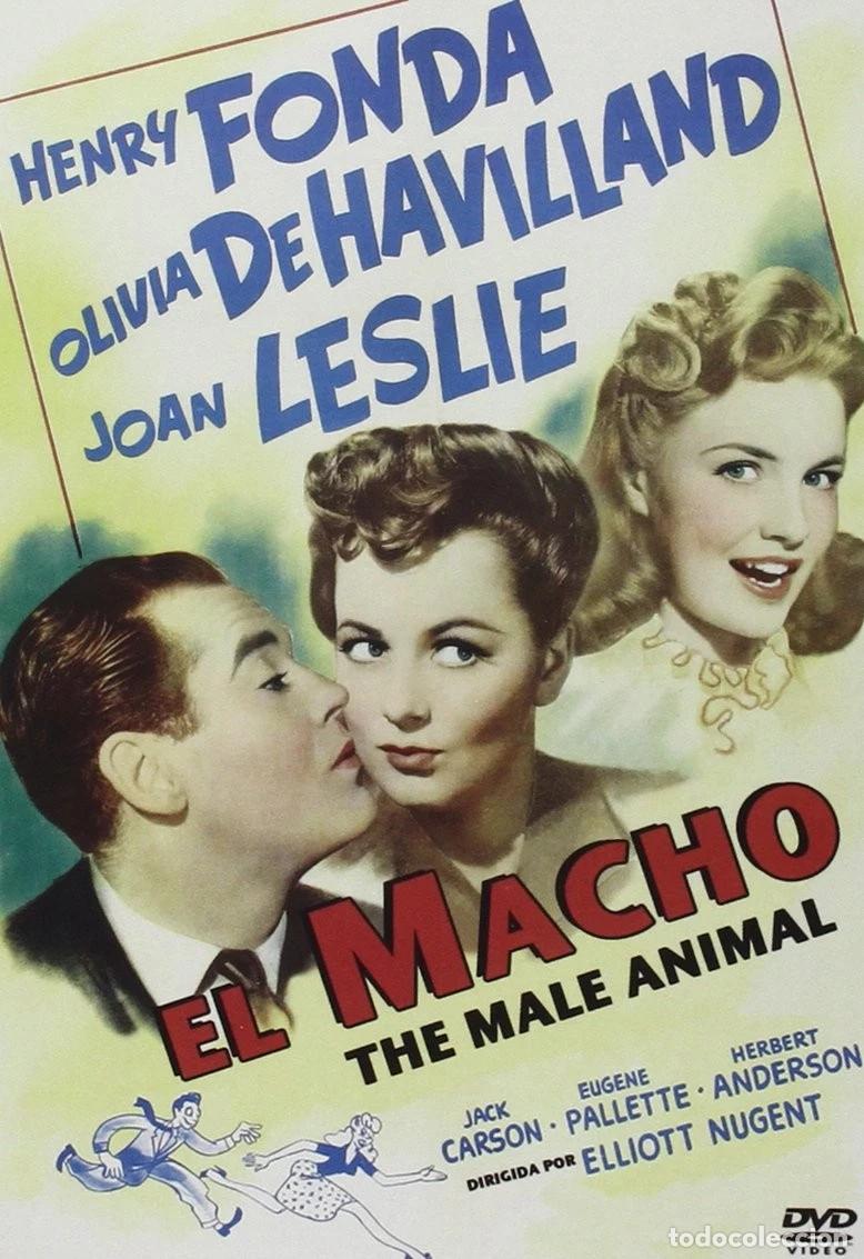 Cinema: EL MACHO (DVD)