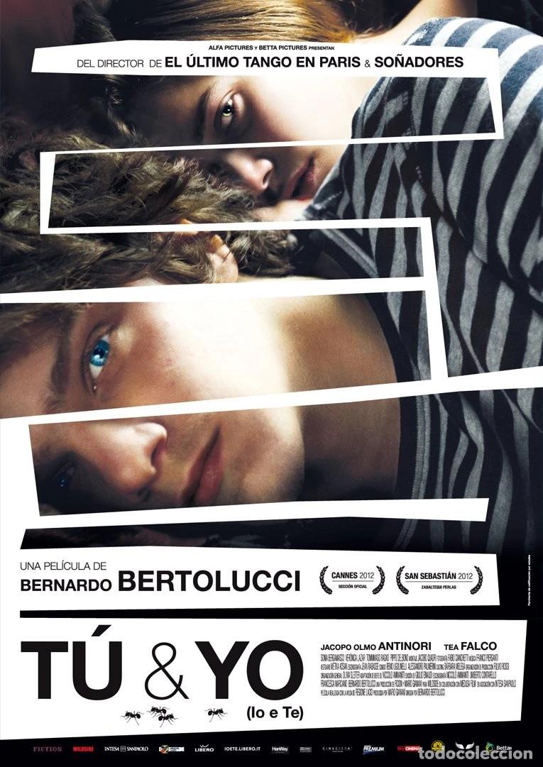 Cine: T&uacute; Y Yo [DVD] - Foto 1