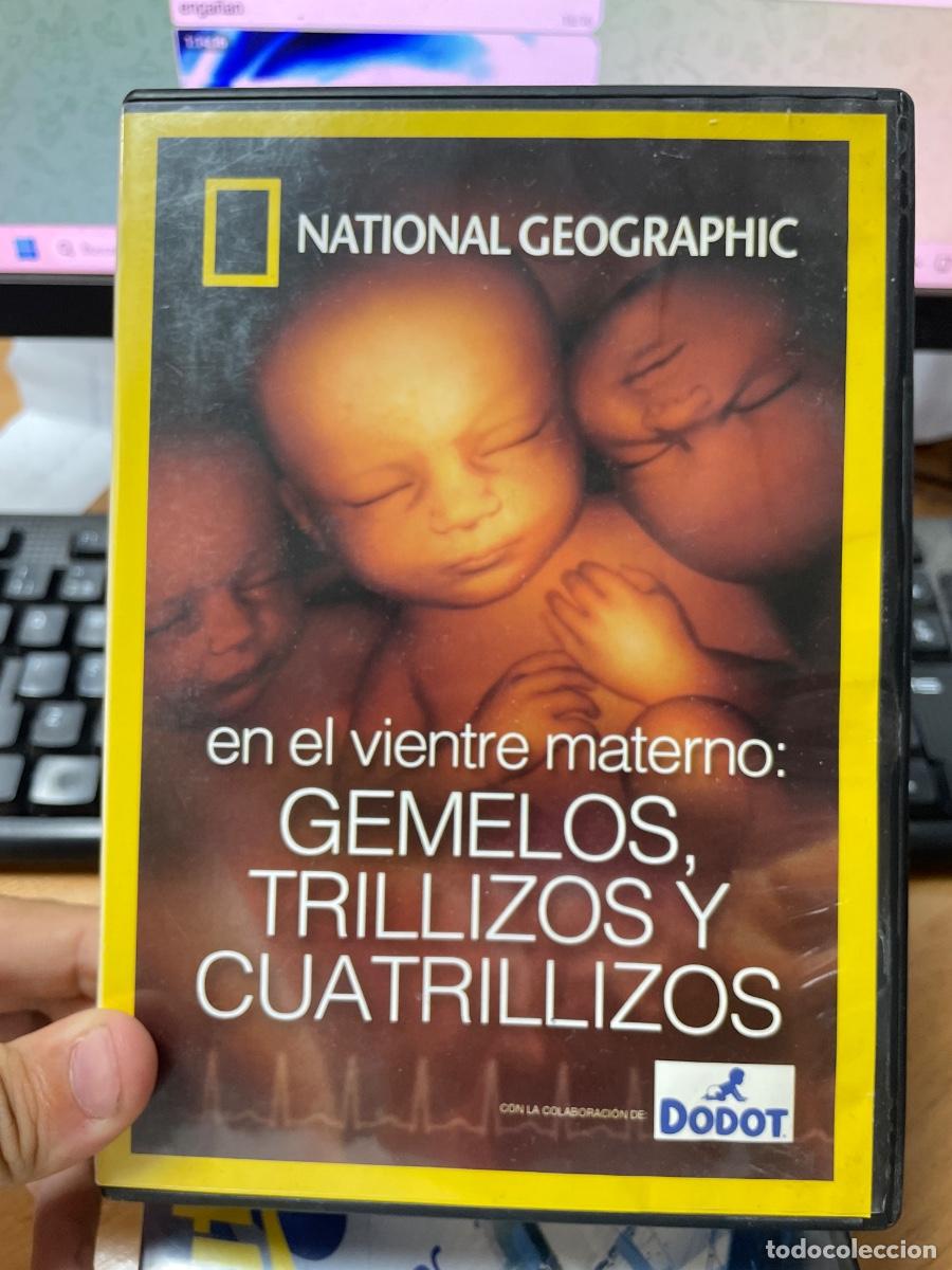 Kino: Gemelos trillizos y cuatrillizos dvd