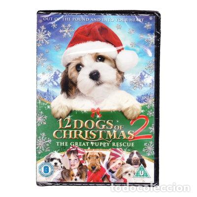 Cine: 12 Dogs of Christmas 2: The Great Puppy Rescue- 5060262851074