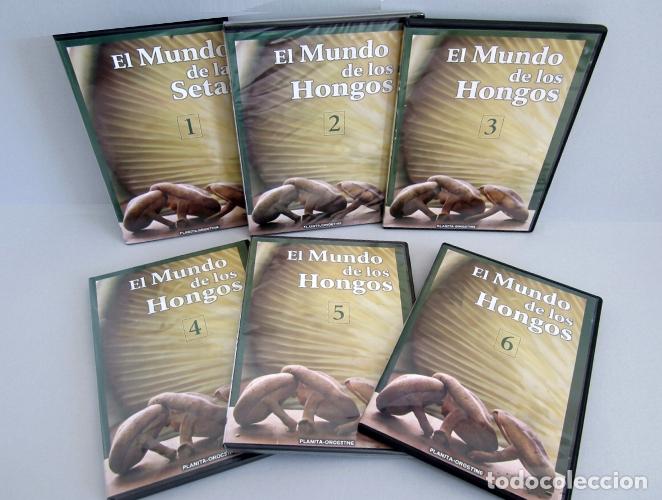 Cine: EL MUNDO DE LOS HONGOS. SETAS. MICOLOGIA. [COMPLETA Y NUEVOS - 6 DVDS / 13 CAPITULOS].