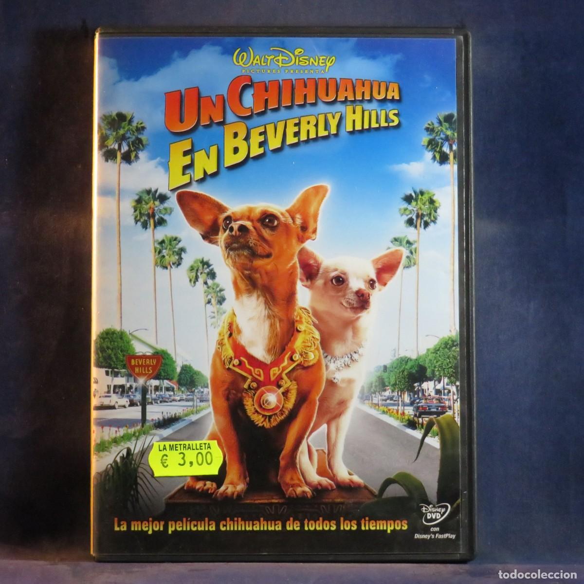 Cine: UN CHIHUAHUA EN BEVERLY HILLS - DVD