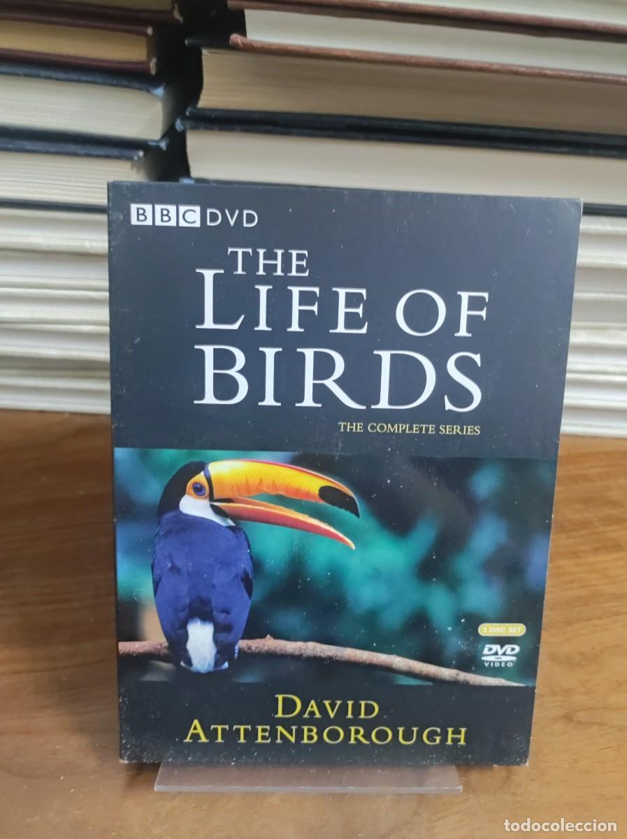Cine: The Life of Birds - The Complete Series (DVD) David Attenborough (BBC DVD)