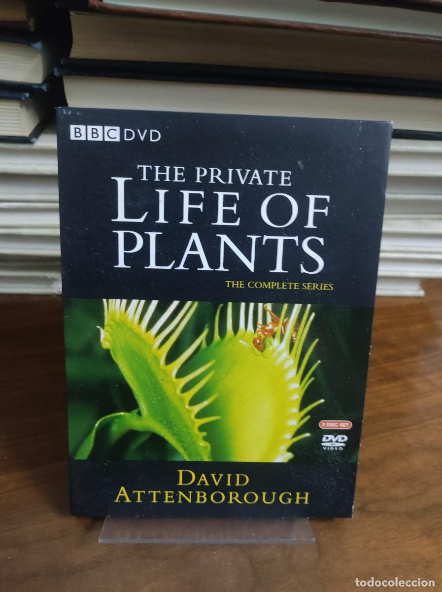 Cine: The Private Life of Plants - The Complete Series (DVD) David Attenborough (BBC DVD)