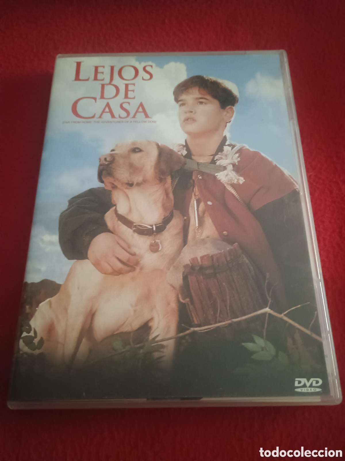 Cine: Dvd lejos de casa - mimi Rogers bruce davison