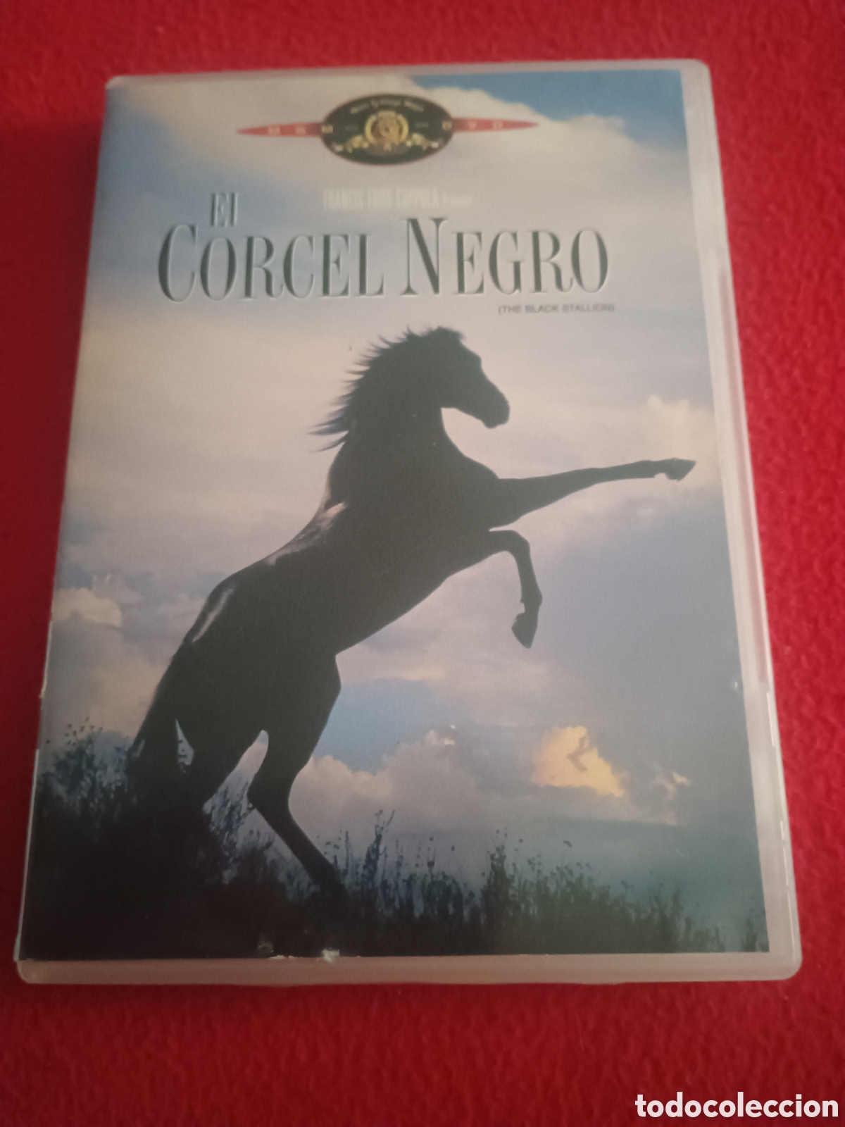Cine: Dvd corcel negro - Francis Ford coppola