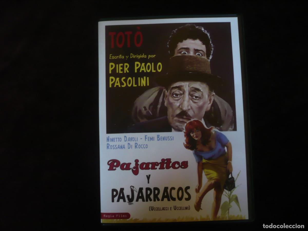 Cine: pajaritos y pajarracos - pier paolo pasolini - dvd como nuevo