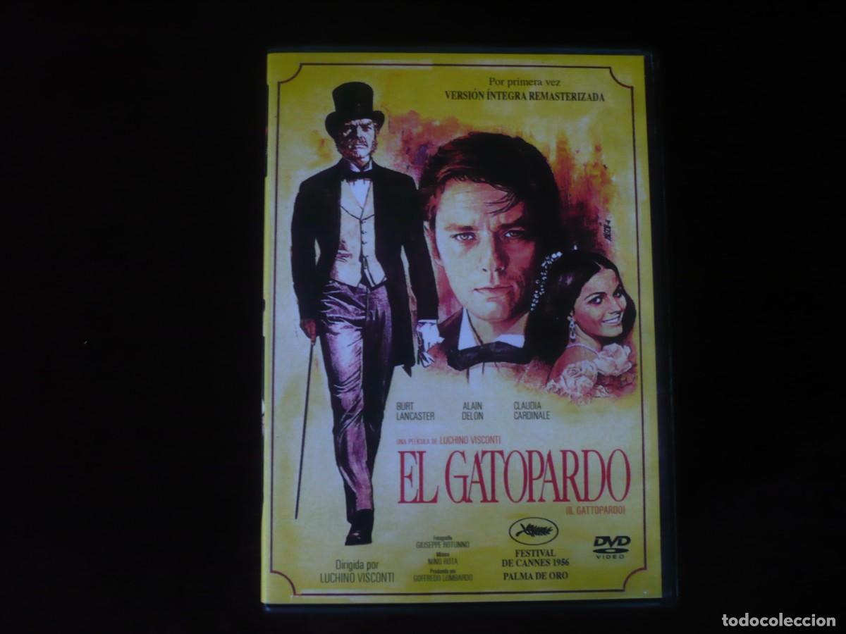 Cine: el gato pardo - dvd como nuevo