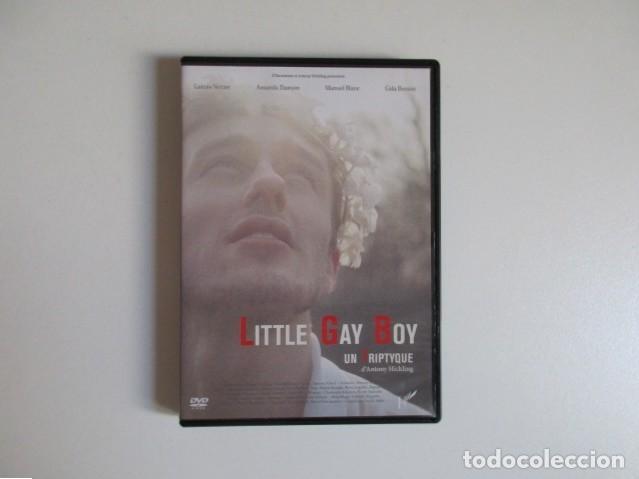 Cine: LITTLE GAY BOY - FRANCIA 2013 - IDIOMA FRANC&Eacute;S E INGL&Eacute;S + SUBT&Iacute;TULOS EN FRANC&Eacute;S - DVD CINE GAY