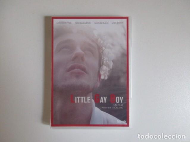 Cine: LITTLE GAY BOY - UN TRIPTYQUE - FRANCIA 2013 - IDIOMA INGL&Eacute;S + SUBT&Iacute;TULOS EN FRANC&Eacute;S - DVD CINE GAY