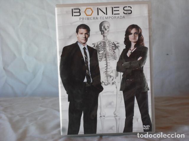 Cine: BONES SERIE PRIMERA TEMPORADA EN DVD