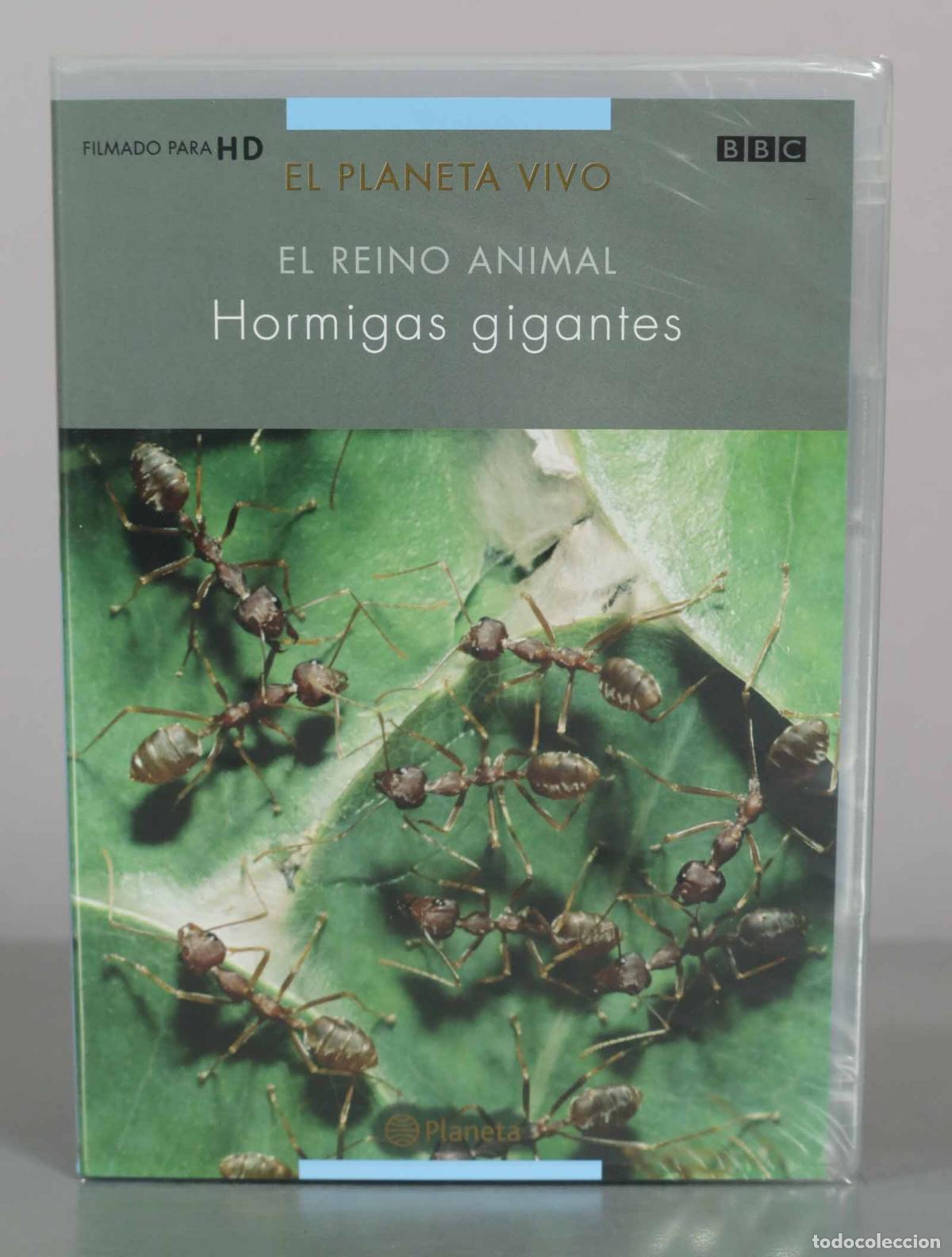 Cine: DVD. El planeta vivo - El reino animal - Hormigas gigantes - BBC PRECINTADO