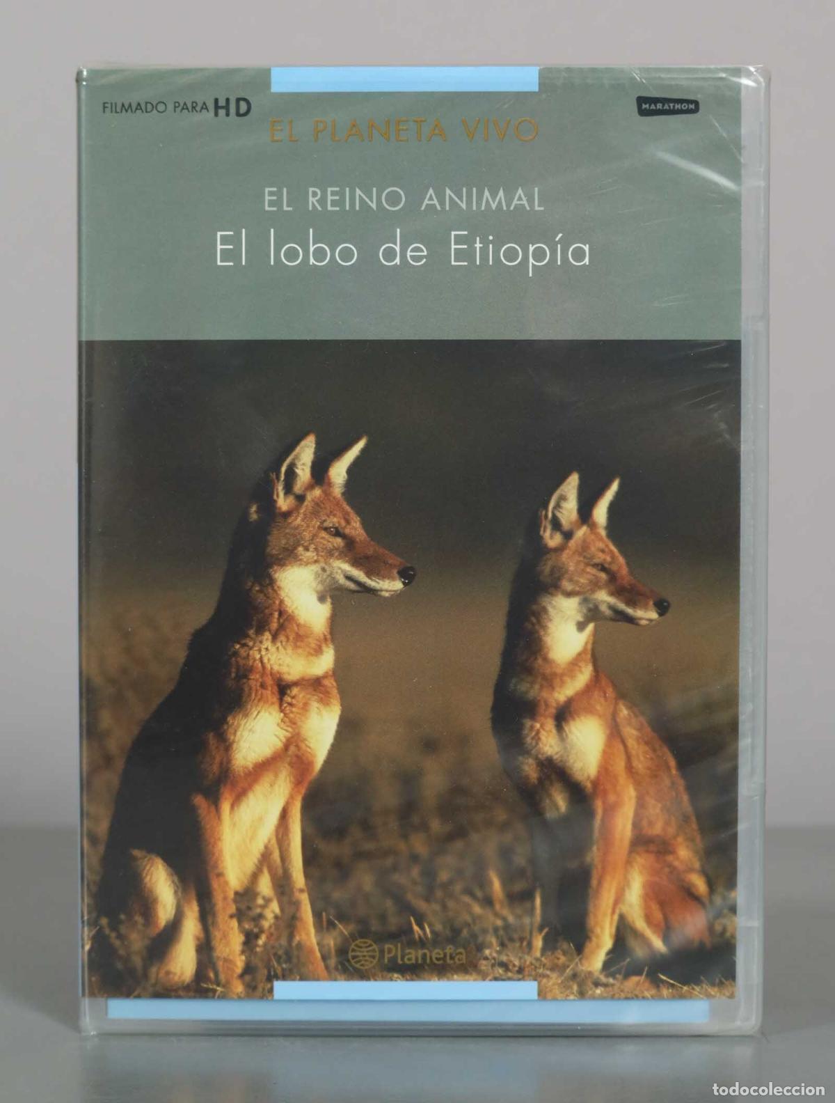 Cine: DVD. El lobo de Etiop&iacute;a - El Reino Animal - Editorial Planeta PRECINTADO