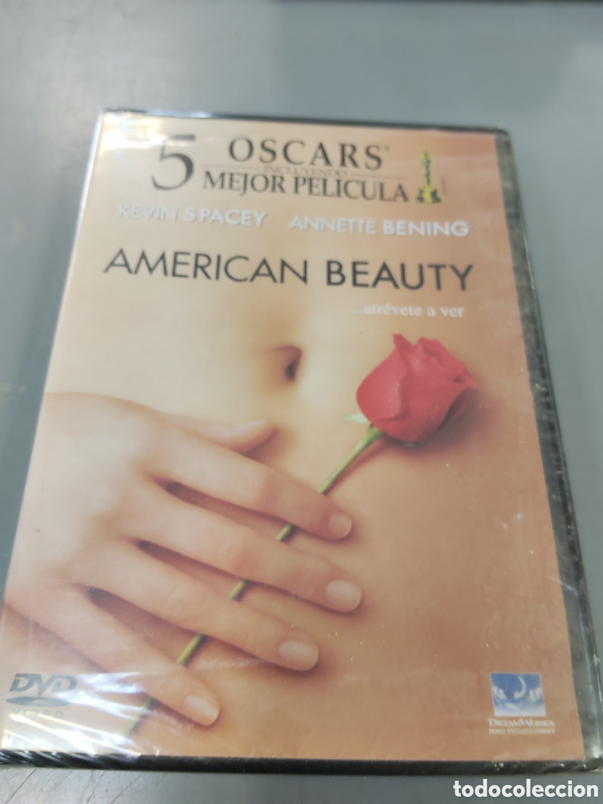 Cine: AMERICAN BEAUTY 5 OSCAR