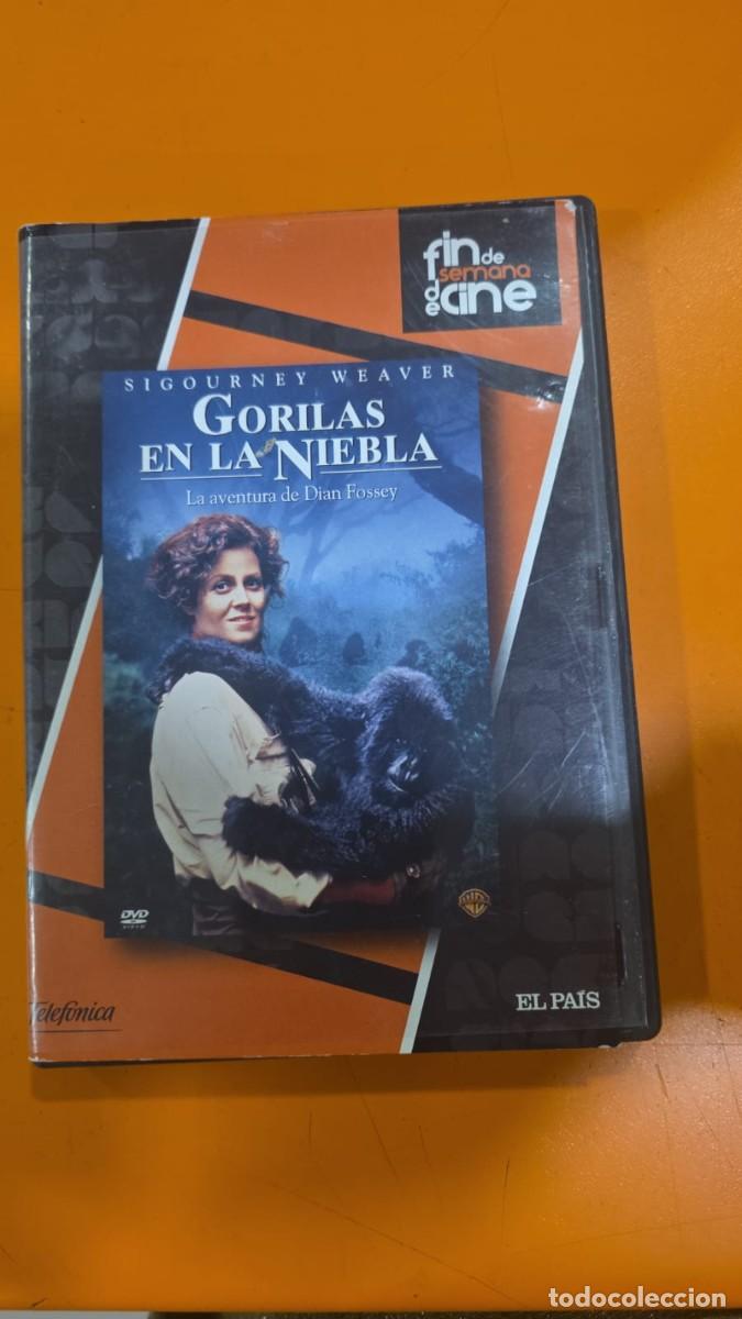 Cine: Gorilas En La Niebla [DVD] &rdquo;Fin de semana de Cine&rdquo; EL PAIS