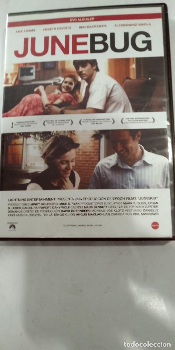 Cine: Junebug Philp Morrison VIDEOCLUB