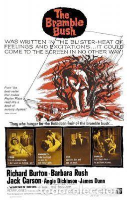 Cine: El Zarzal - The Bramble Bush -Richard Burton , Barbara Rush DVD Nuevo en Espanol