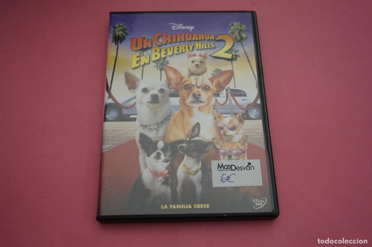 Cine: 3A/ DVD - UN CHIHUAHUA EN BEVERLY HILLS 2