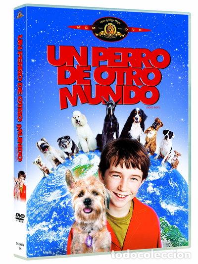 Cine: Un Perro De Otro Mundo- 8420266999474