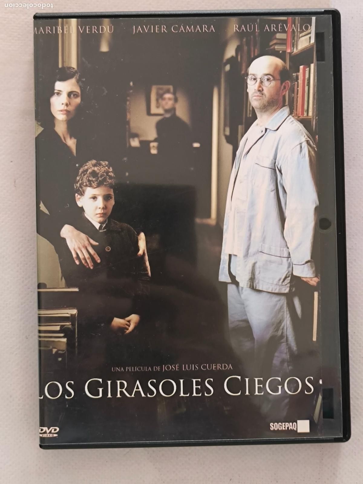 Cine: DVD LOS GIRASOLES CIEGOS - JOSE LUIS CUERDA (R3)