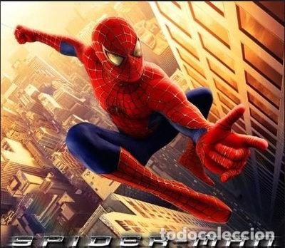 Cine: El Hombre Ara&ntilde;a- 7509671996382