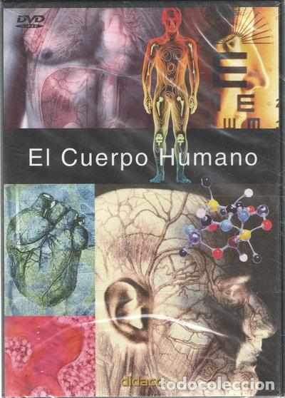 Cine: El Cuerpo Humano- 9788489712751