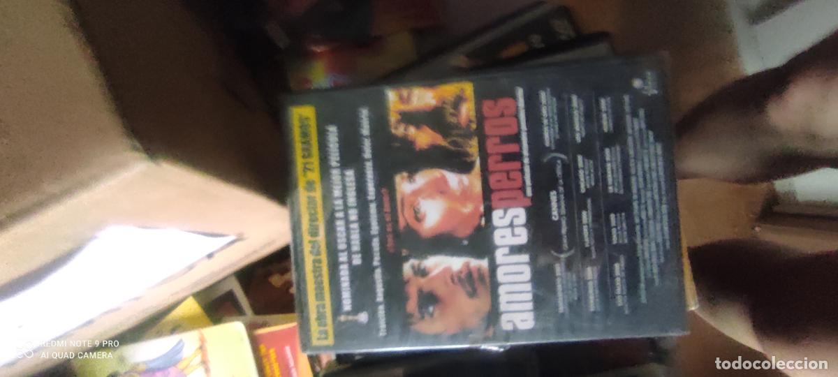 Cine: Amores perros, pel&iacute;cula