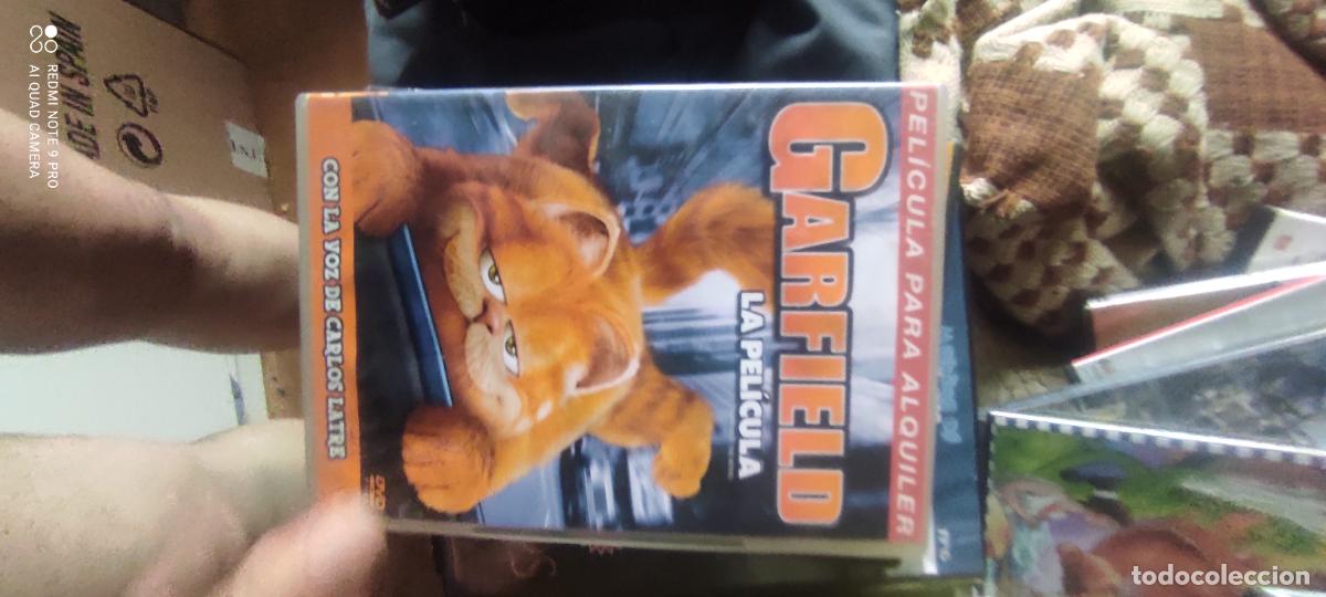 Cine: Garfield, pel&iacute;cula, dvd