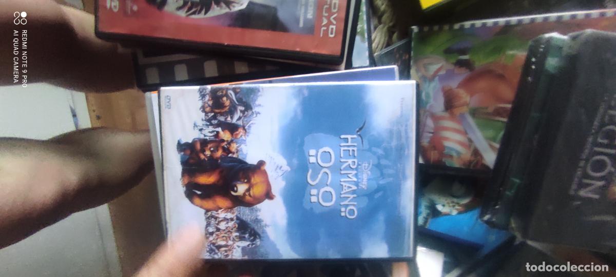 Cinema: Hermano Oso, pel&iacute;cula