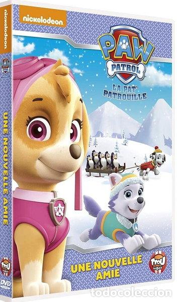 Cine: Paw Patrol: La Pat' Patrouille - Volumen 6 - Une nouvelle amie- 3384442268431