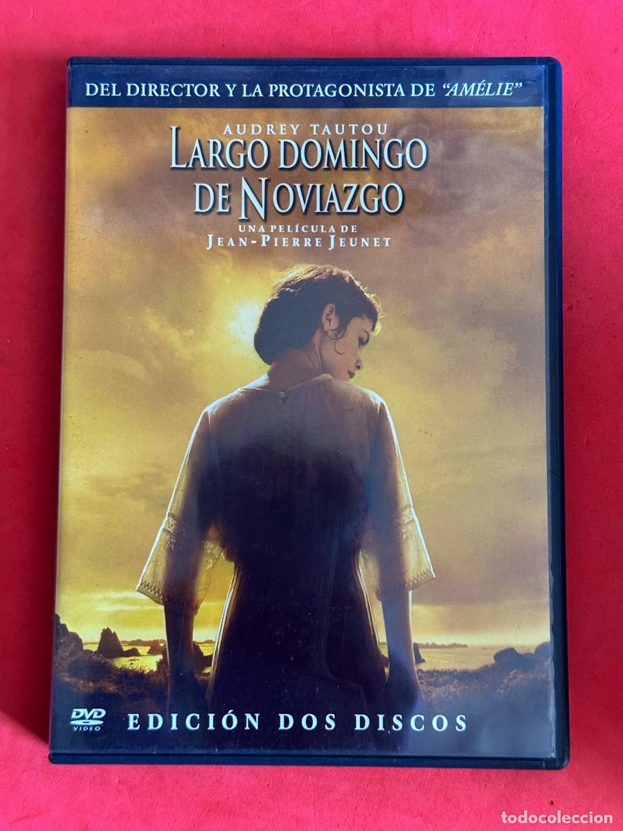 Cine: Largo Domingo De Noviazgo (DVD)