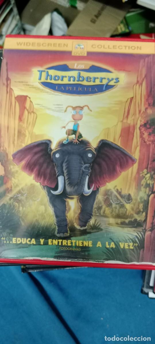 Cine: LOS THORNBERRYS LA PELICULA DVD CINE TOP-06