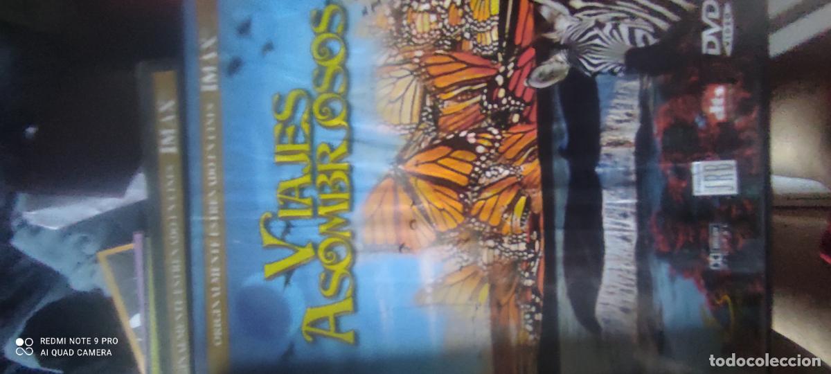Cine: Viajes asombrosos. Dvd