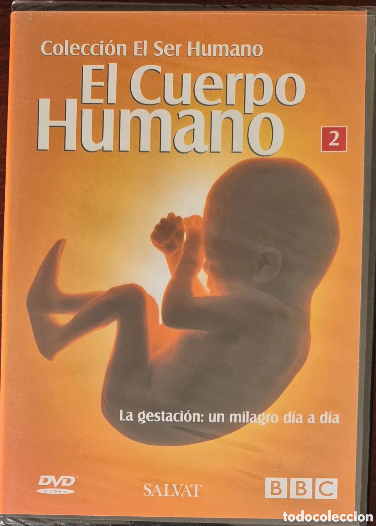 Cine: DVD - COLECCI&Oacute;N EL SER HUMANO - EL CUERPO HUMANO 2 (LA GESTACI&Oacute;N: UN MILAGRO D&Iacute;A A D&Iacute;A)