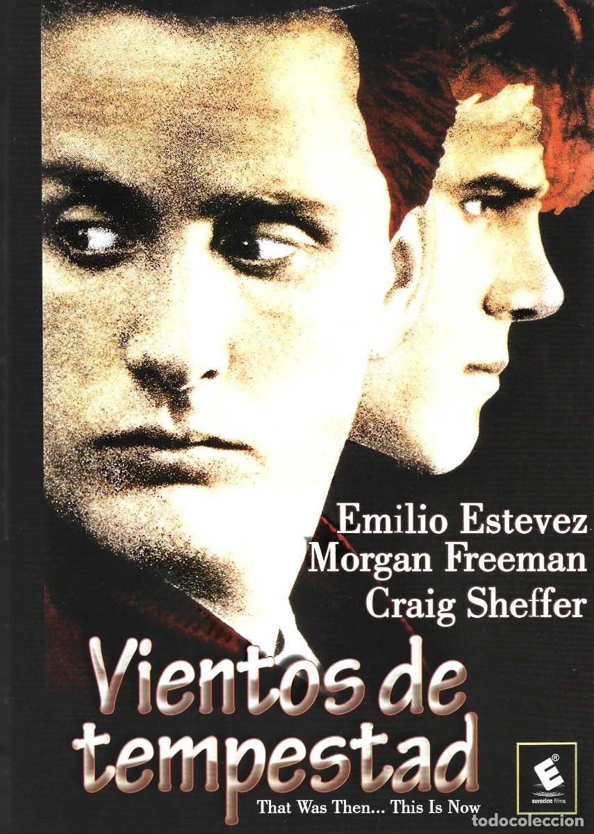 Cin&eacute;ma: VIENTOS DE TEMPESTAD EMILIO ESTEVEZ