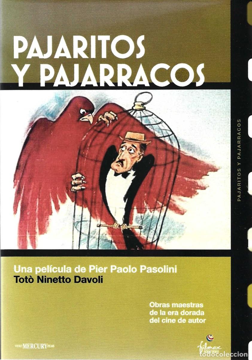 Cine: PAJARITOS Y PAJARRACOS TOT&Ograve; NINETTO DAVOLI