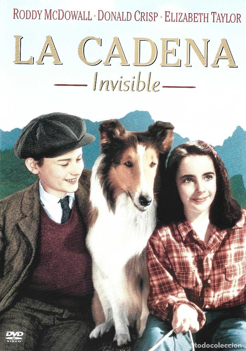Cine: LA CADENA INVISIBLE RODDY MCDOWALL & ELIZABETH TAYLOR