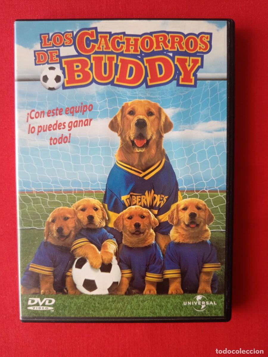 Cine: LOS CACHORROS DE BUDDY. Bill Bannerman