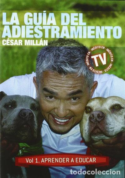 Cine: Gu&iacute;a del adiestramiento- 8436046601062