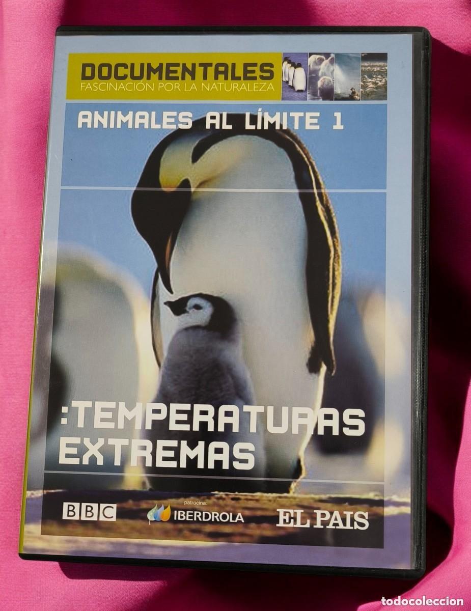 Cin&eacute;ma: DVD &rdquo;Animales al L&iacute;mite 1: Temperaturas Extremas&rdquo; (BBC / El Pa&iacute;s, 2005) &ndash; Documental Fascinante